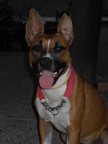 la mas bonita de mundo, no se si sera amor de madre jajajaja